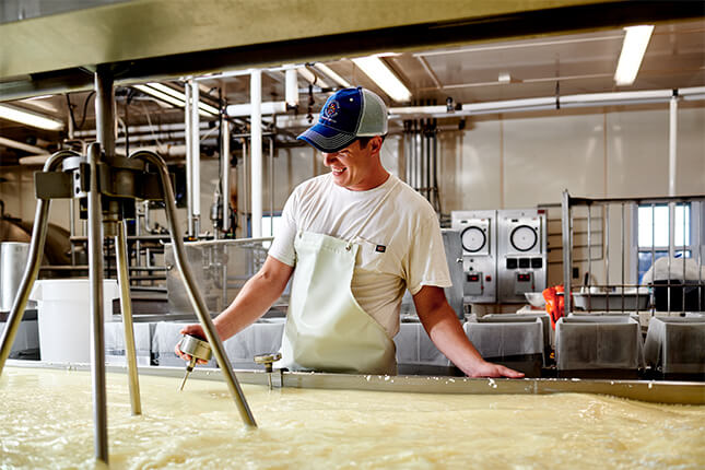 visit factory cheese