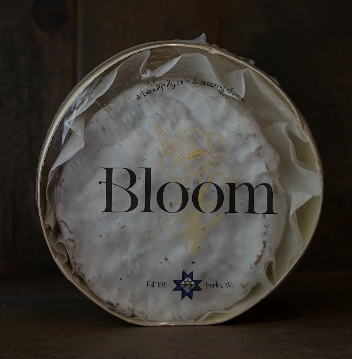 Round of Bloom ash-rubbed lactic-set cheese on a white surface