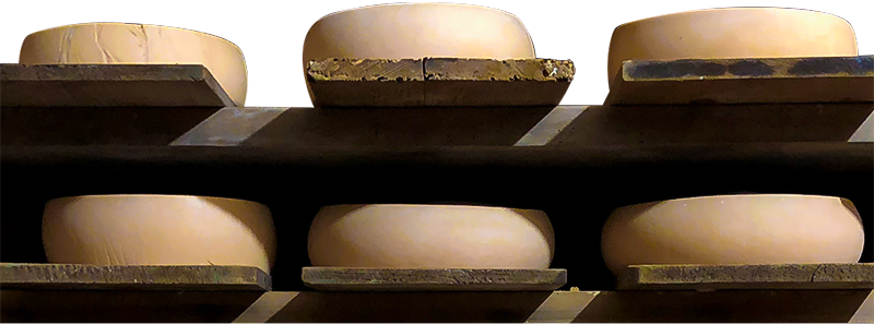 Artisan cheese made in Wisconsin