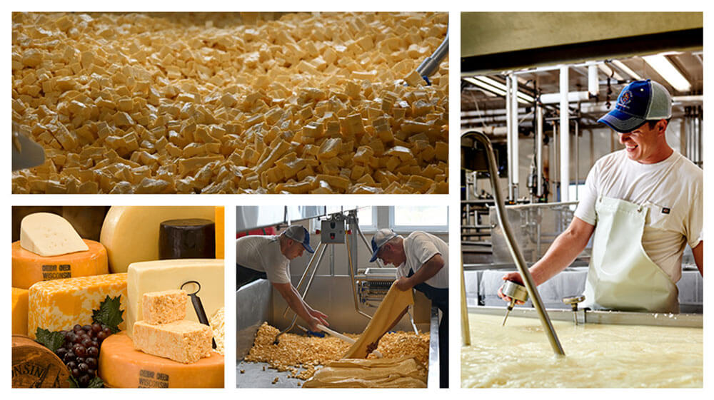 Small cheese manufacturers in Wisconsin